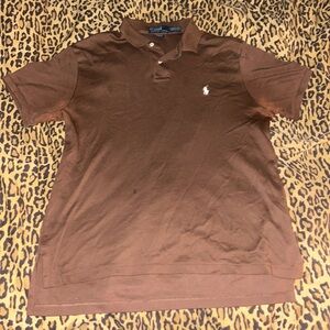 brown polo white pony